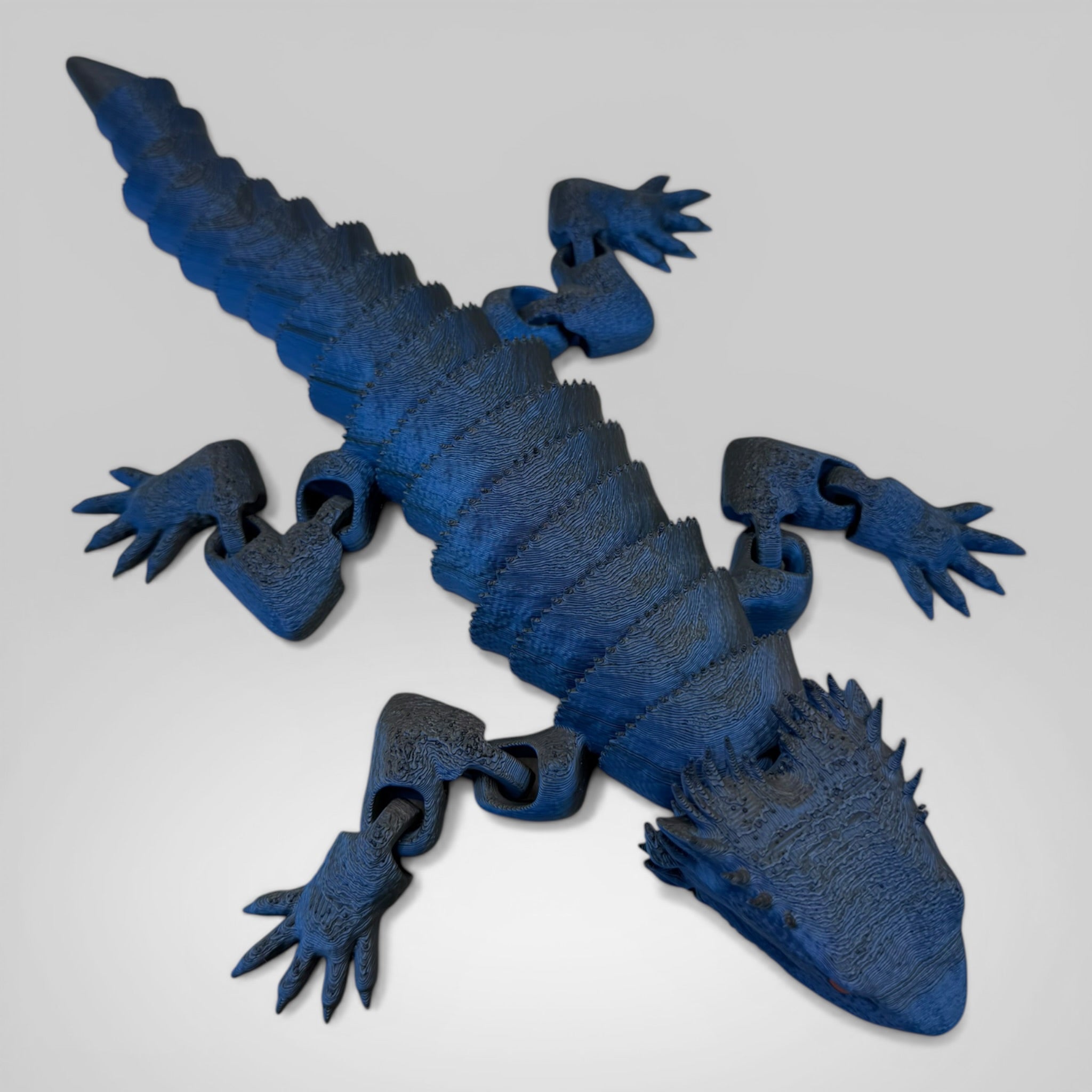 Bearded Dragon