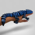 Bearded Dragon