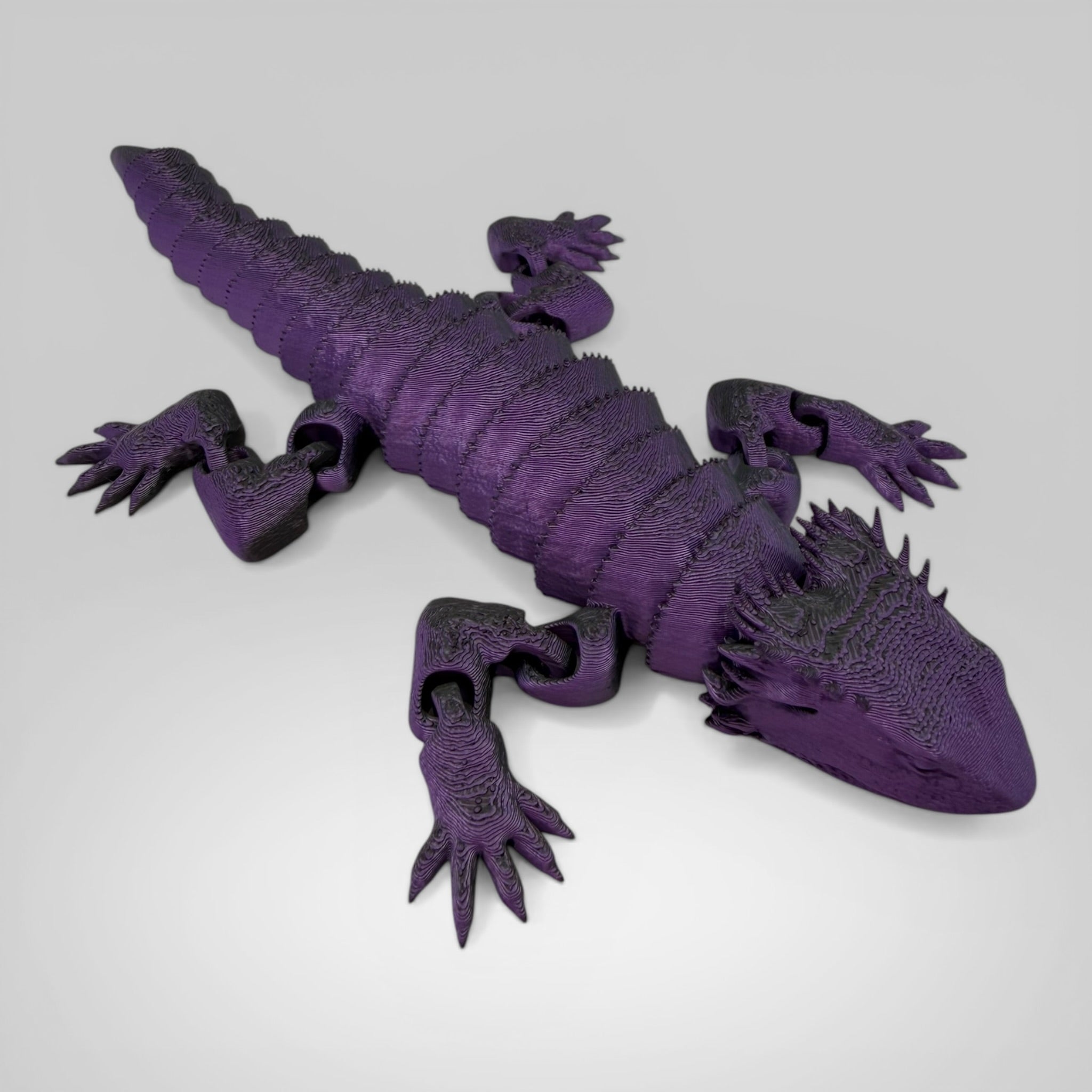 Bearded Dragon