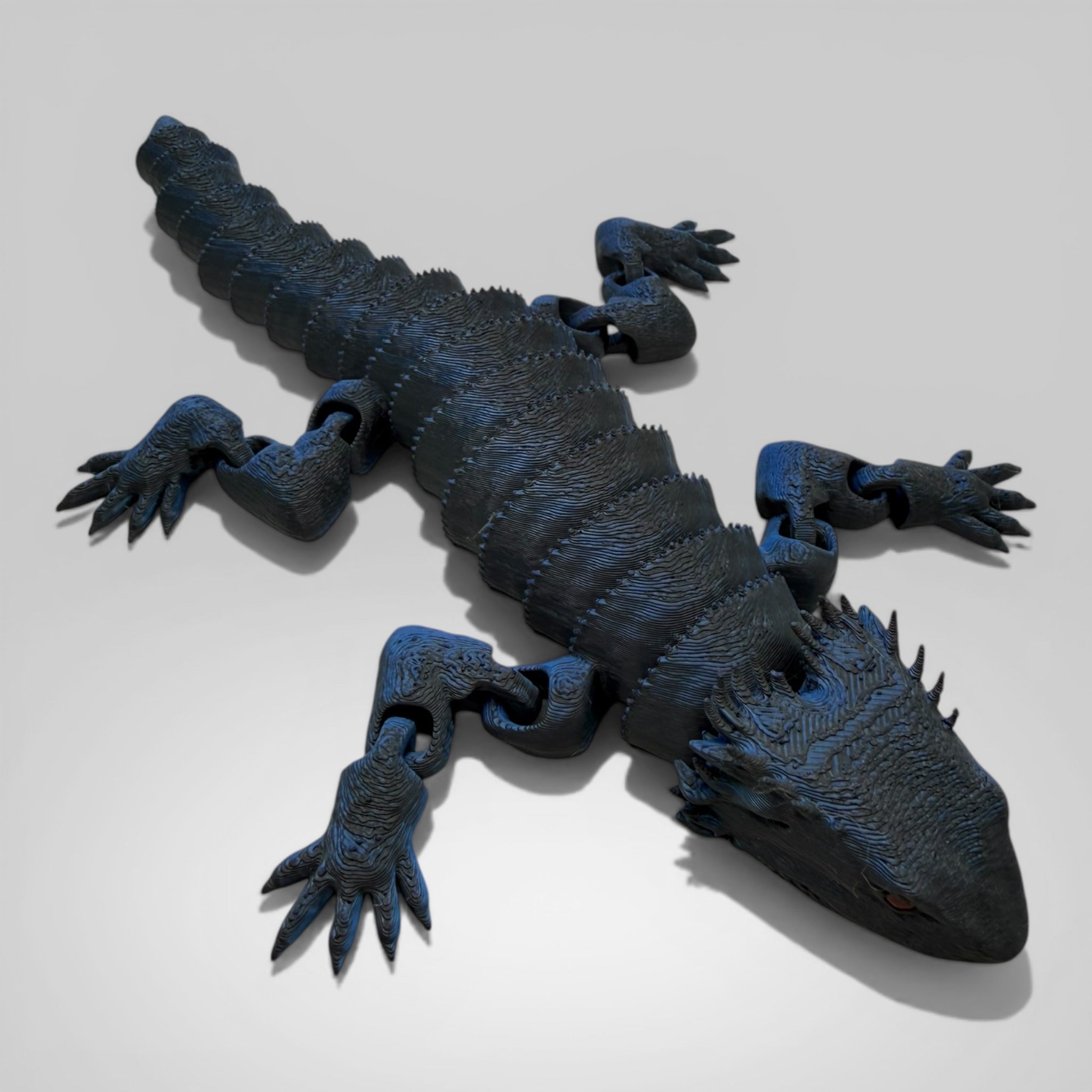 Bearded Dragon