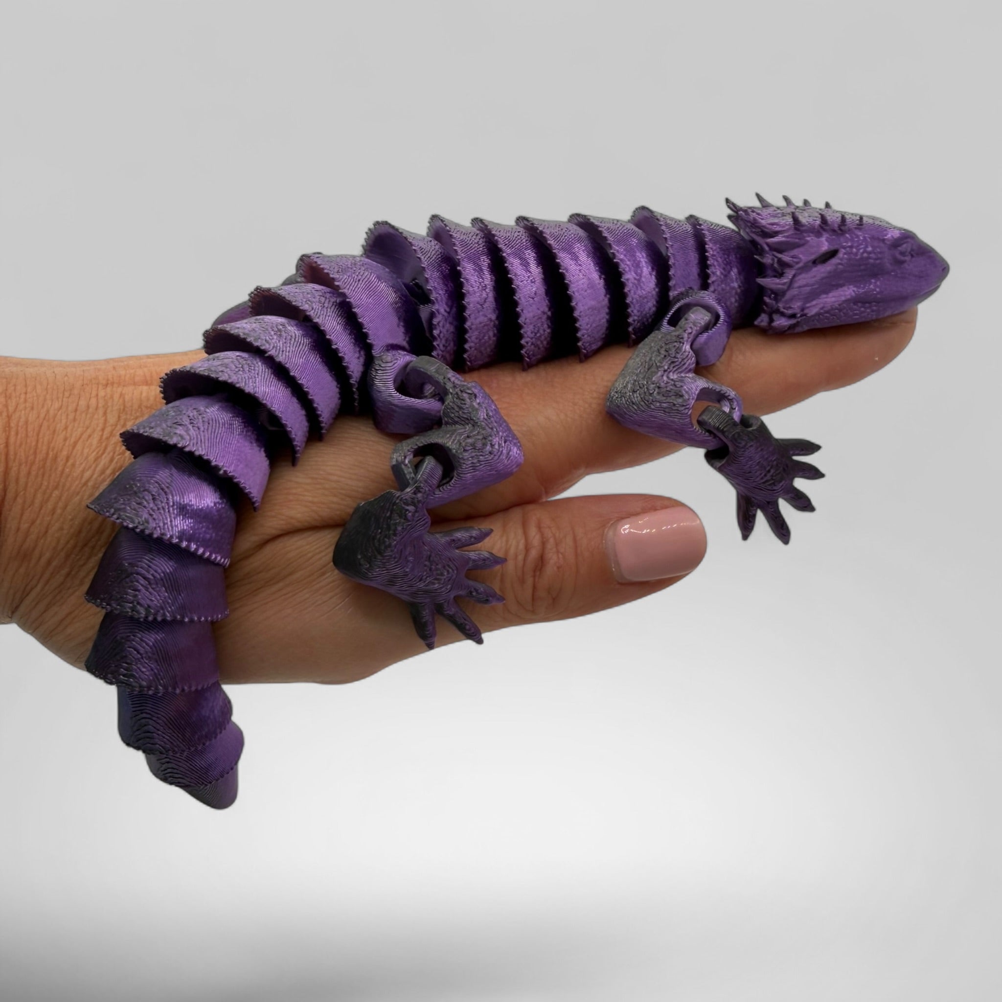 Bearded Dragon