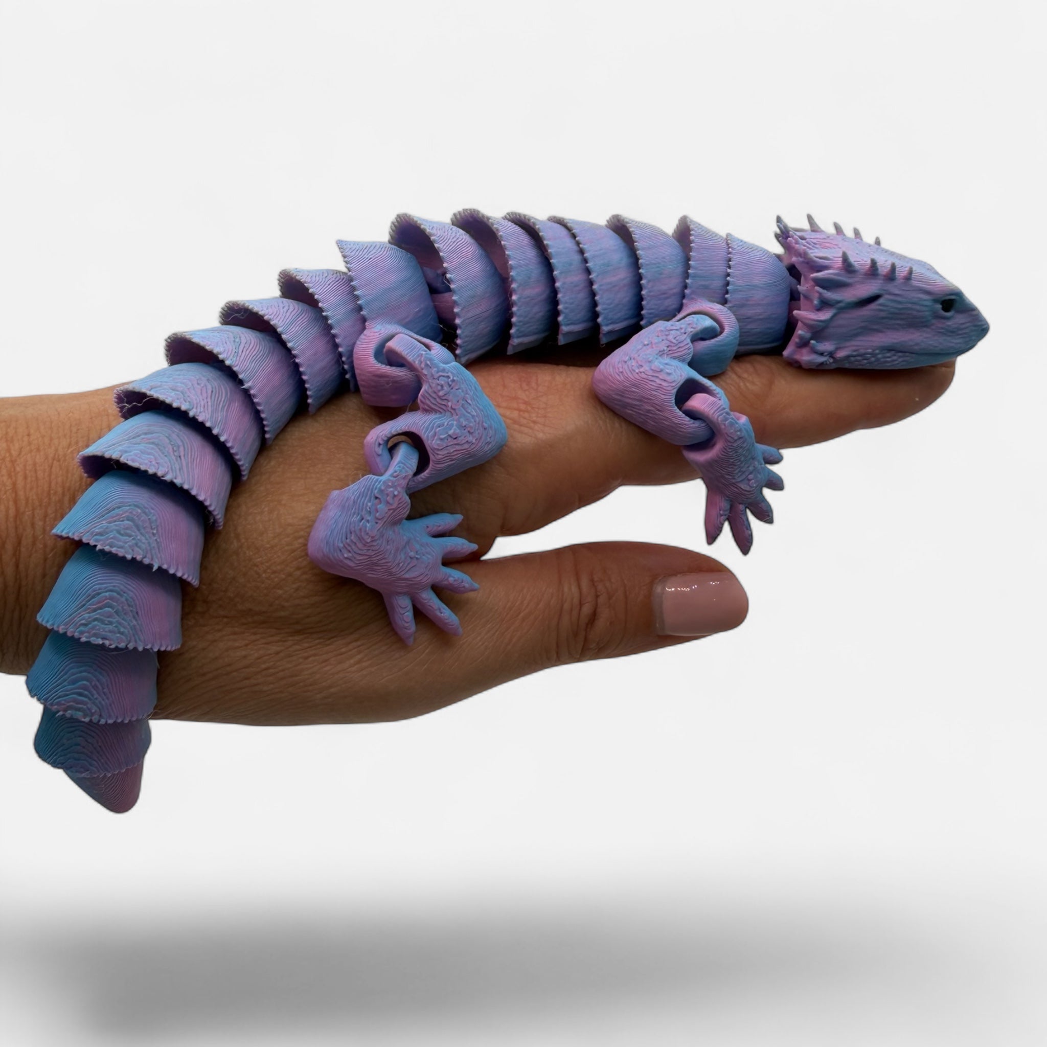 Bearded Dragon