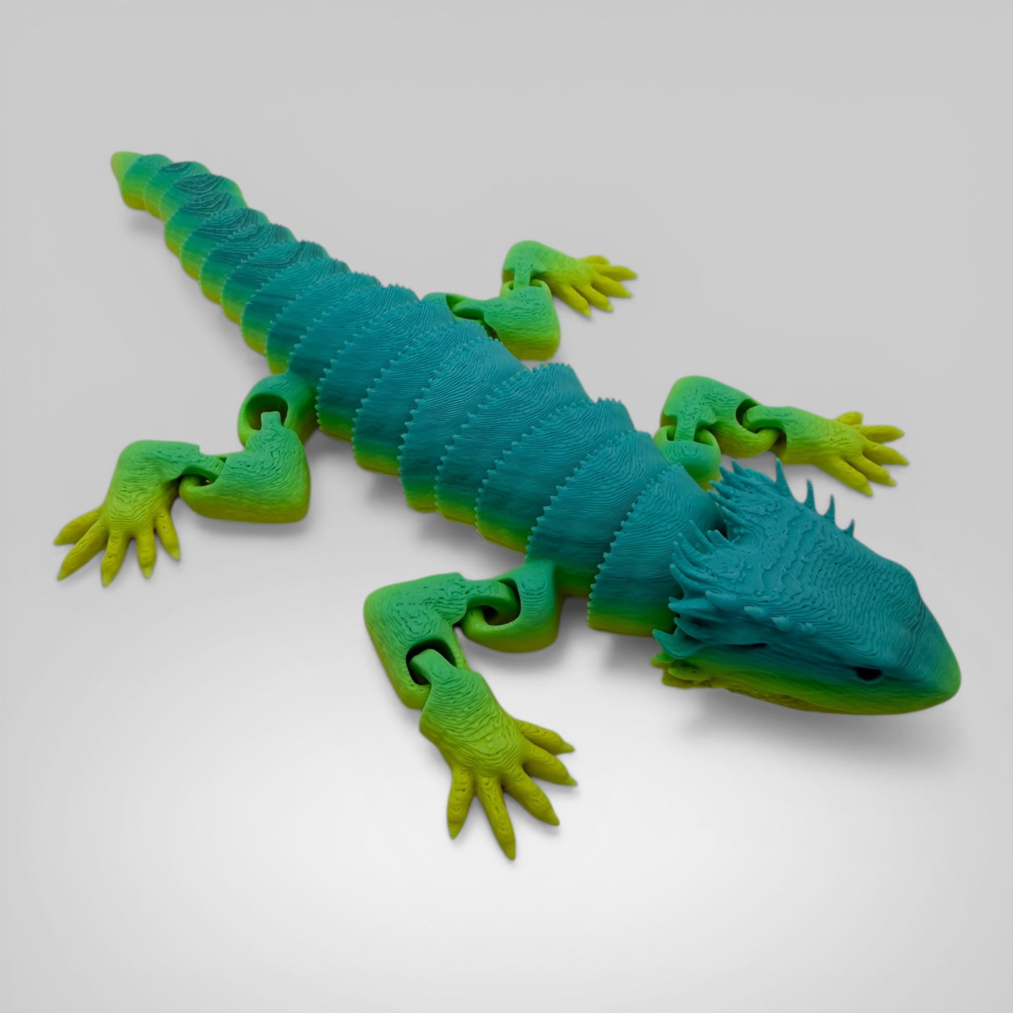 Bearded Dragon