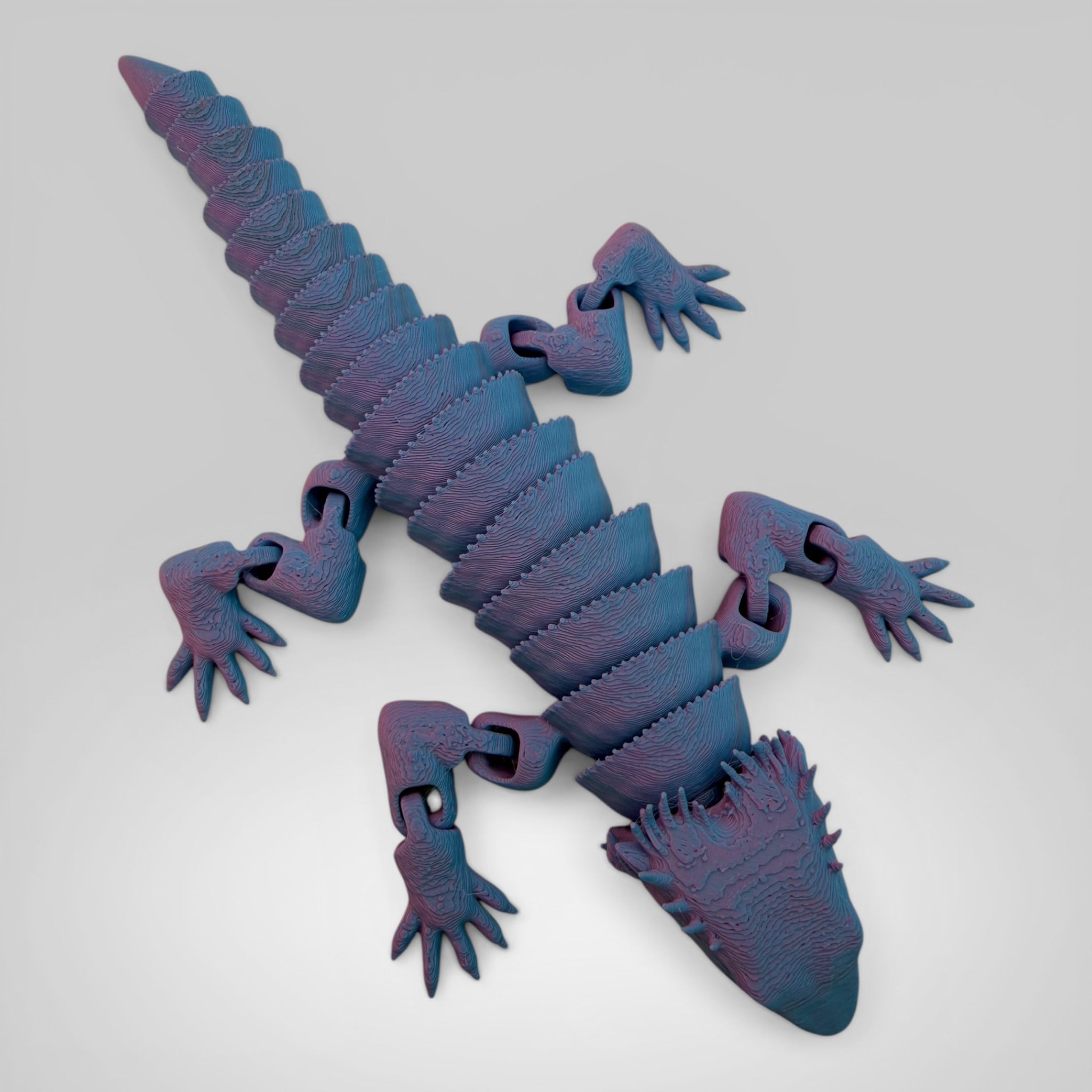 Bearded Dragon