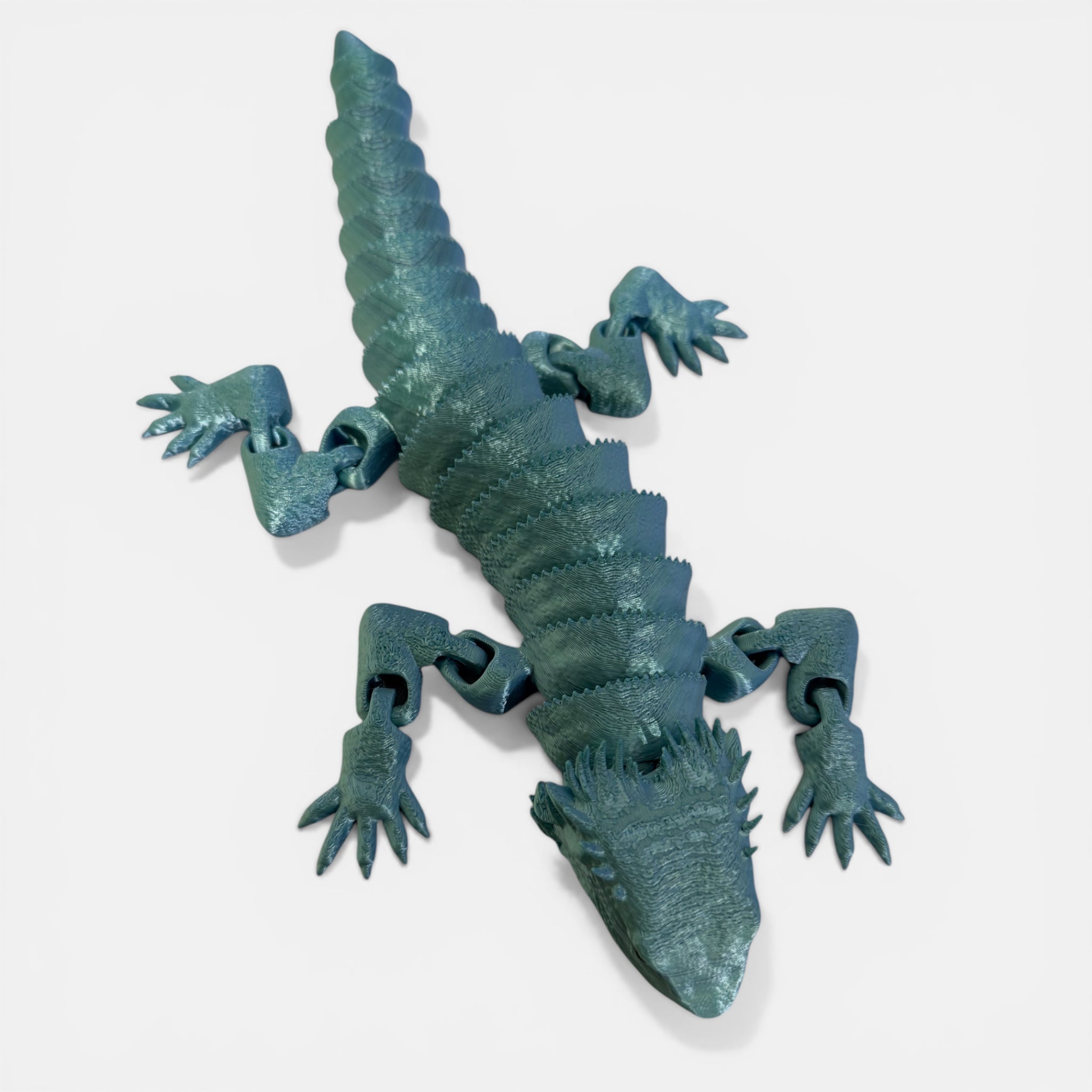 Bearded Dragon